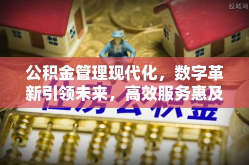 沈丘公积金管理现代化，数字革新引领未来，高效服务惠及民生