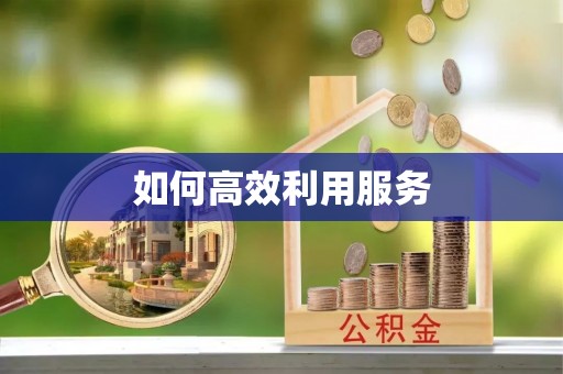 沈丘如何高效利用服务