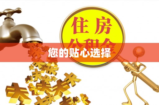 沈丘您的贴心选择